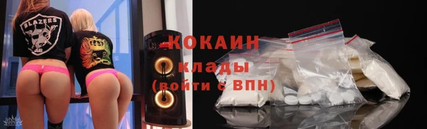 индика Нефтегорск