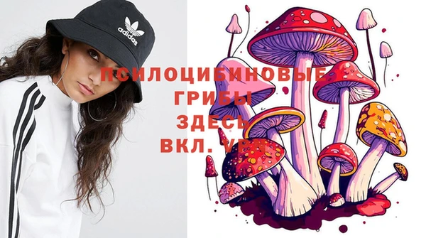 индика Нефтегорск