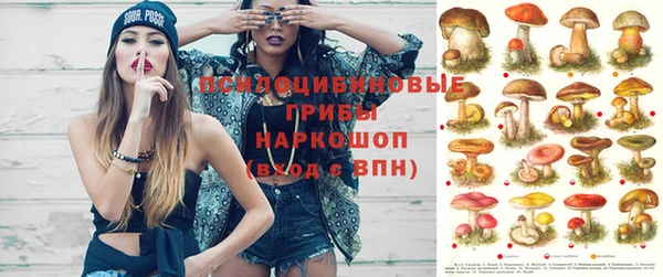 ALPHA PVP Нефтекумск