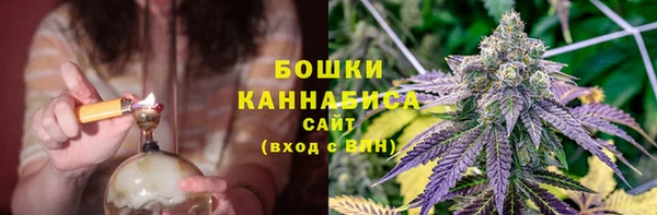 индика Нефтегорск