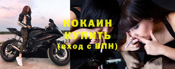 индика Нефтегорск